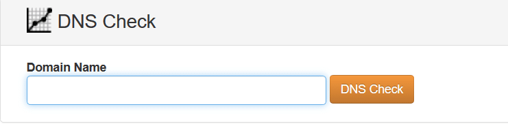 Information Gathering: DNS Check