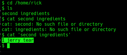 PickleRick Writeup - TryHackMe 11